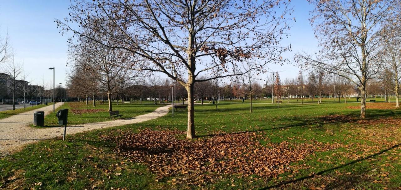 "Casa Giuliari" In Borgo Roma Vicino Policlinico Univr Fiera Leilighet Verona Eksteriør bilde